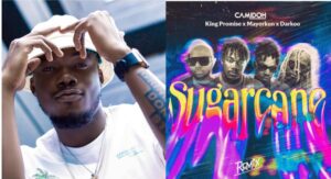 I Wanna Be With You (Sugarcane) Camidoh Ft. King Promise, MAyorkun and Darkoo